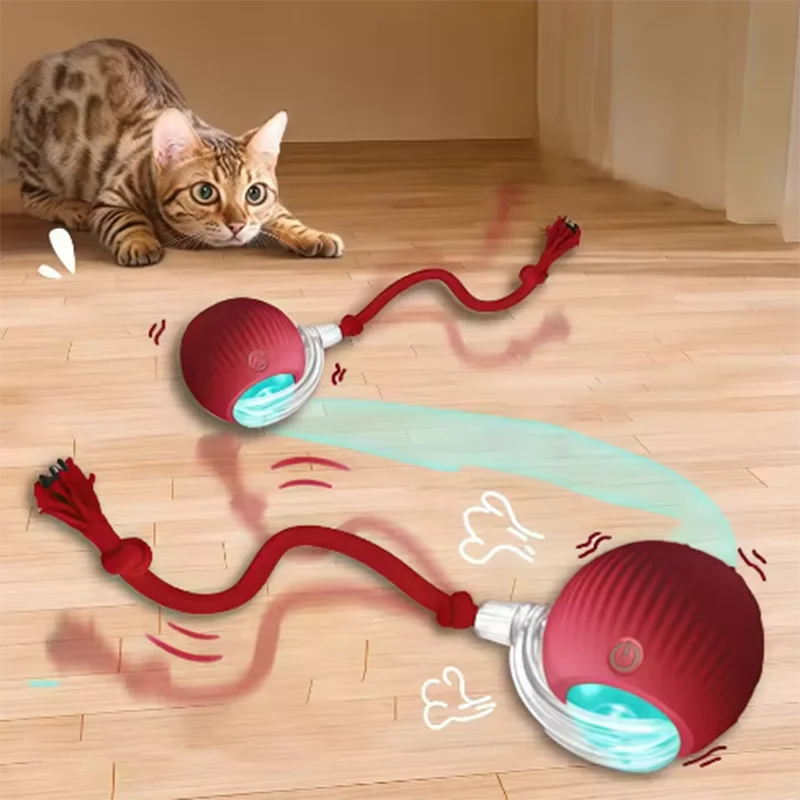 Interactive cat ball detail 1