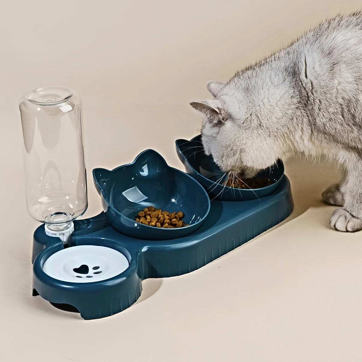 3-in-1 cat bowl with gravity water bottle and tilted feeding bowls