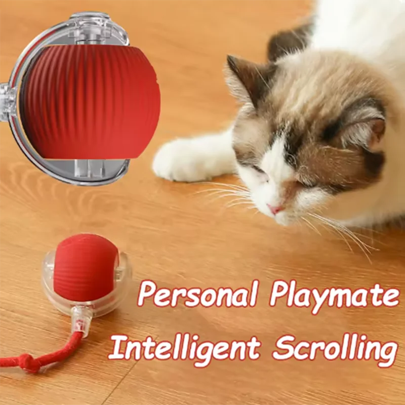 Interactive cat ball detail 3