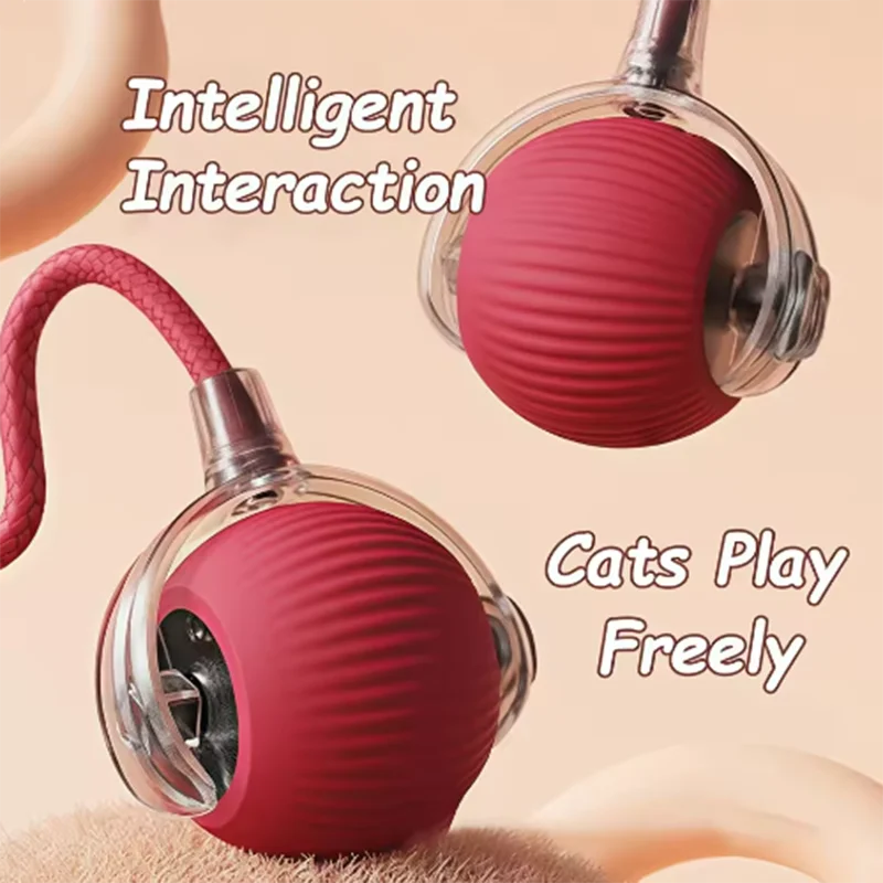 Interactive cat ball detail 2